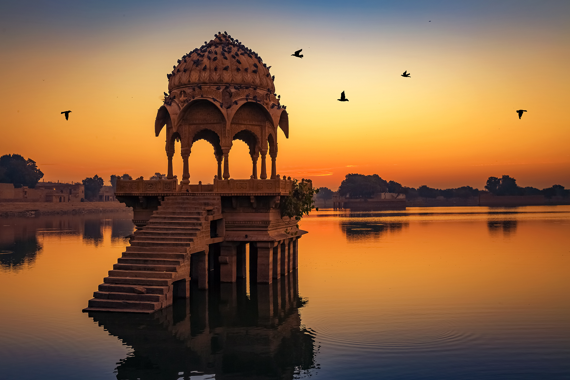 rajasthan travel cost
