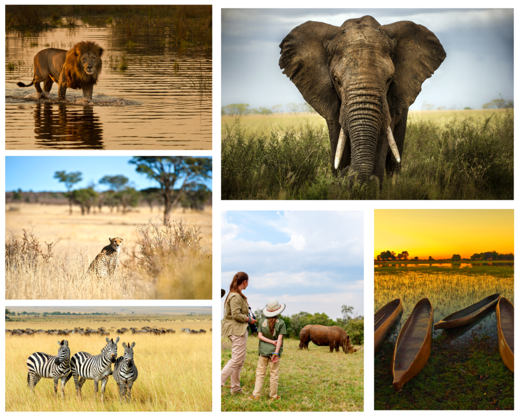 Six Ways to Experience the Okavango Delta - Hayes & Jarvis